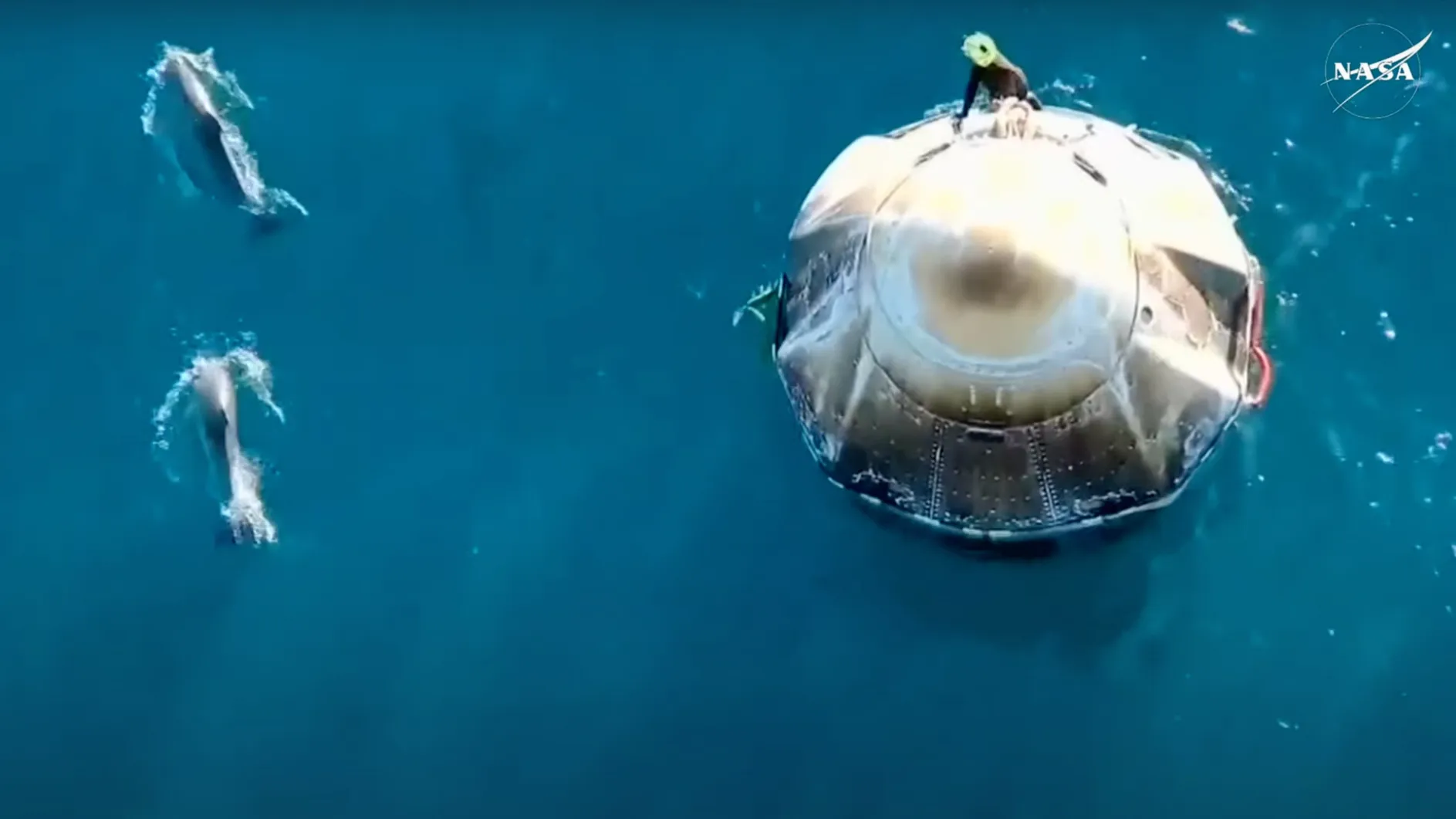 Überkopfsicht einer weißen Raumkapsel, die im Ozean schwimmt, mit zwei Delfinen, die in der Nähe schwimmen.