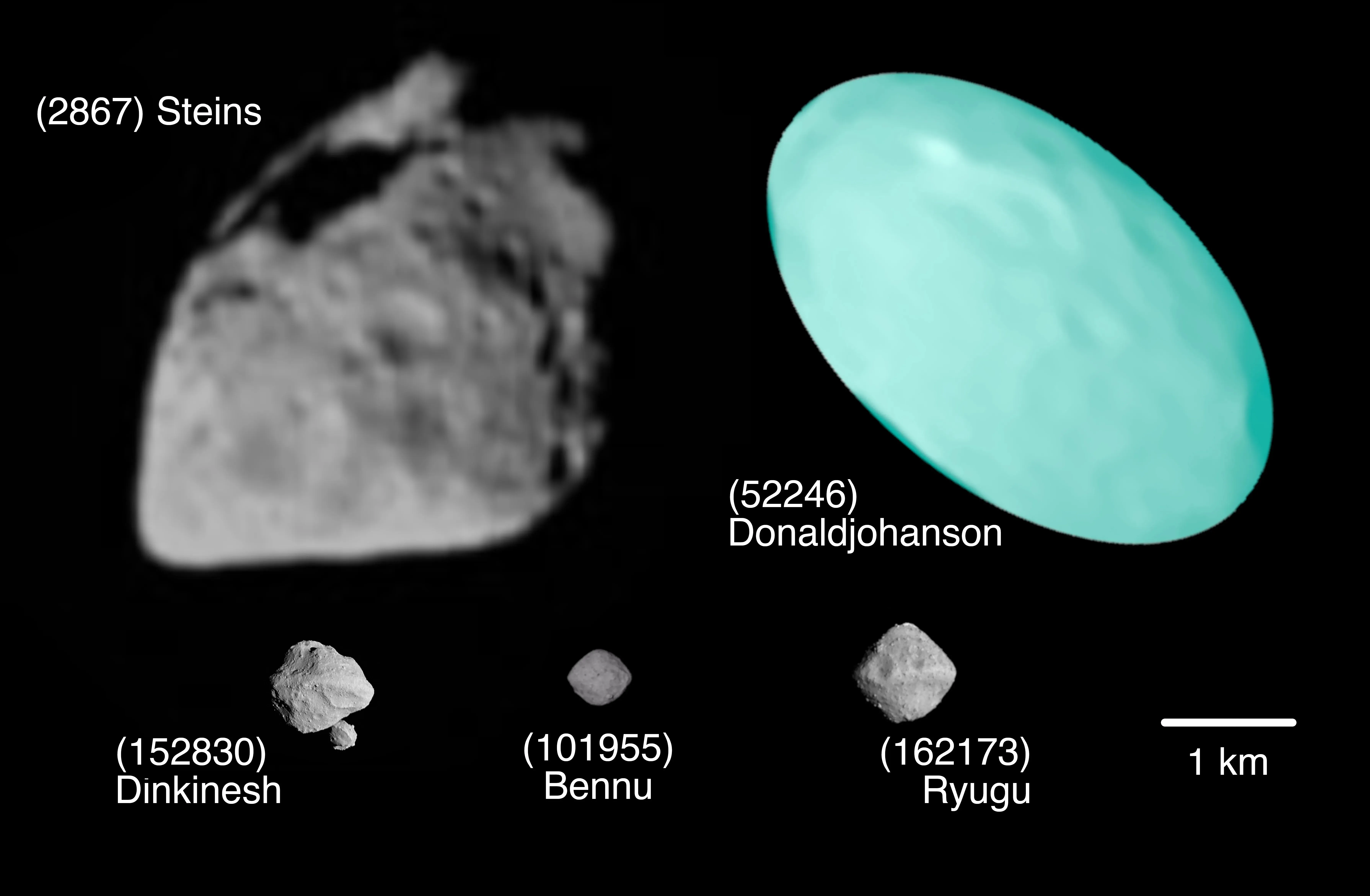 Visualisierungen verschiedener Asteroiden im Größenvergleich. Donaldjohanson ist deutlich größer als Bennu, Ryugu und Dinkinesh.